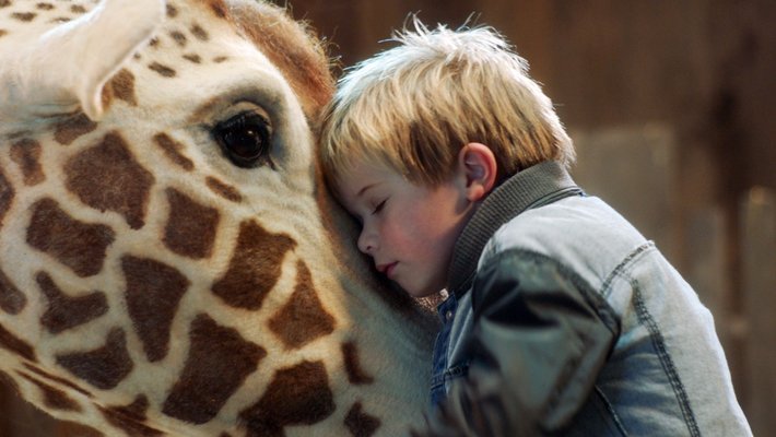 Mein Freund, die Giraffe Vorschaubild des Trailers