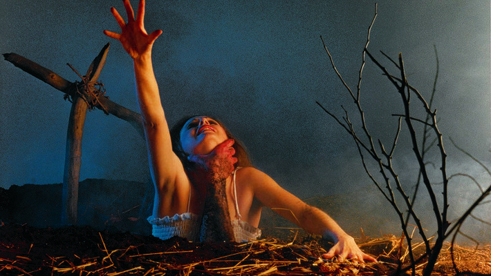 Tanz der Teufel - The Evil Dead Vorschaubild des Trailers