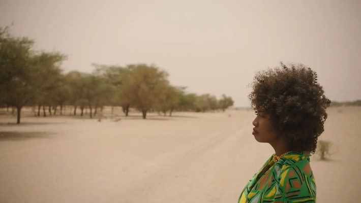 The Great Green Wall Vorschaubild des Trailers
